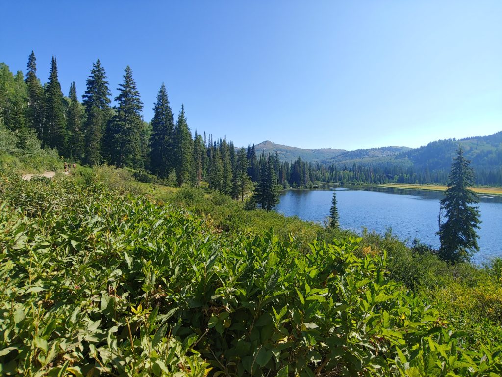 View of a lake in canyon near Salt Lake City, Utah