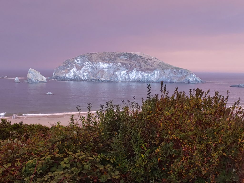 Sea Stacks at Harris State Beach in Brookings Oregon with skies turned purple with smoke from fires in 2020