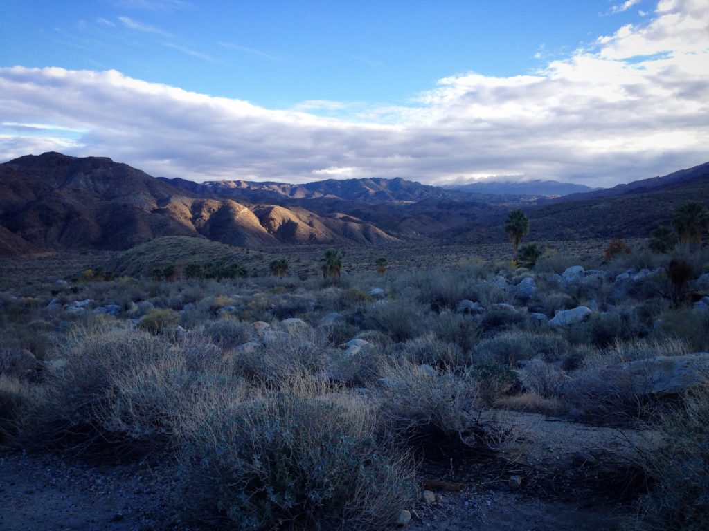 Twilight after a hike in Indian Canyons near Palm Springs