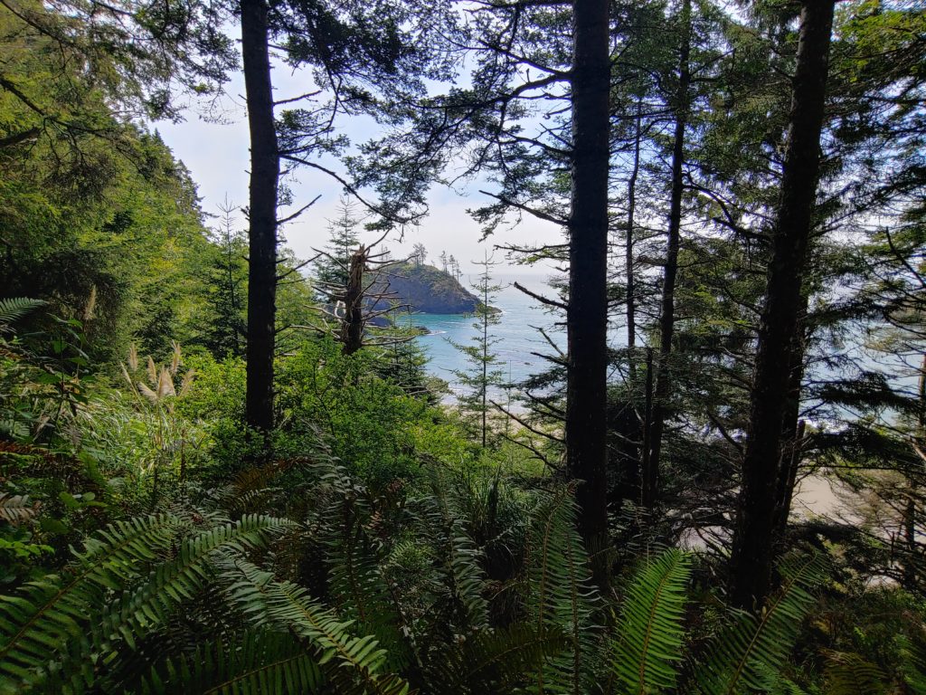 View of Trinidad State Beach shore line