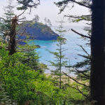 Photo of Trinidad State Beach with forest in foreground, blue ocean water, and large sea stack rock formation