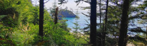 Photo of Trinidad State Beach with forest in foreground, blue ocean water, and large sea stack rock formation