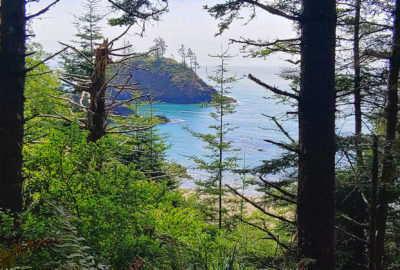 Photo of Trinidad State Beach with forest in foreground, blue ocean water, and large sea stack rock formation