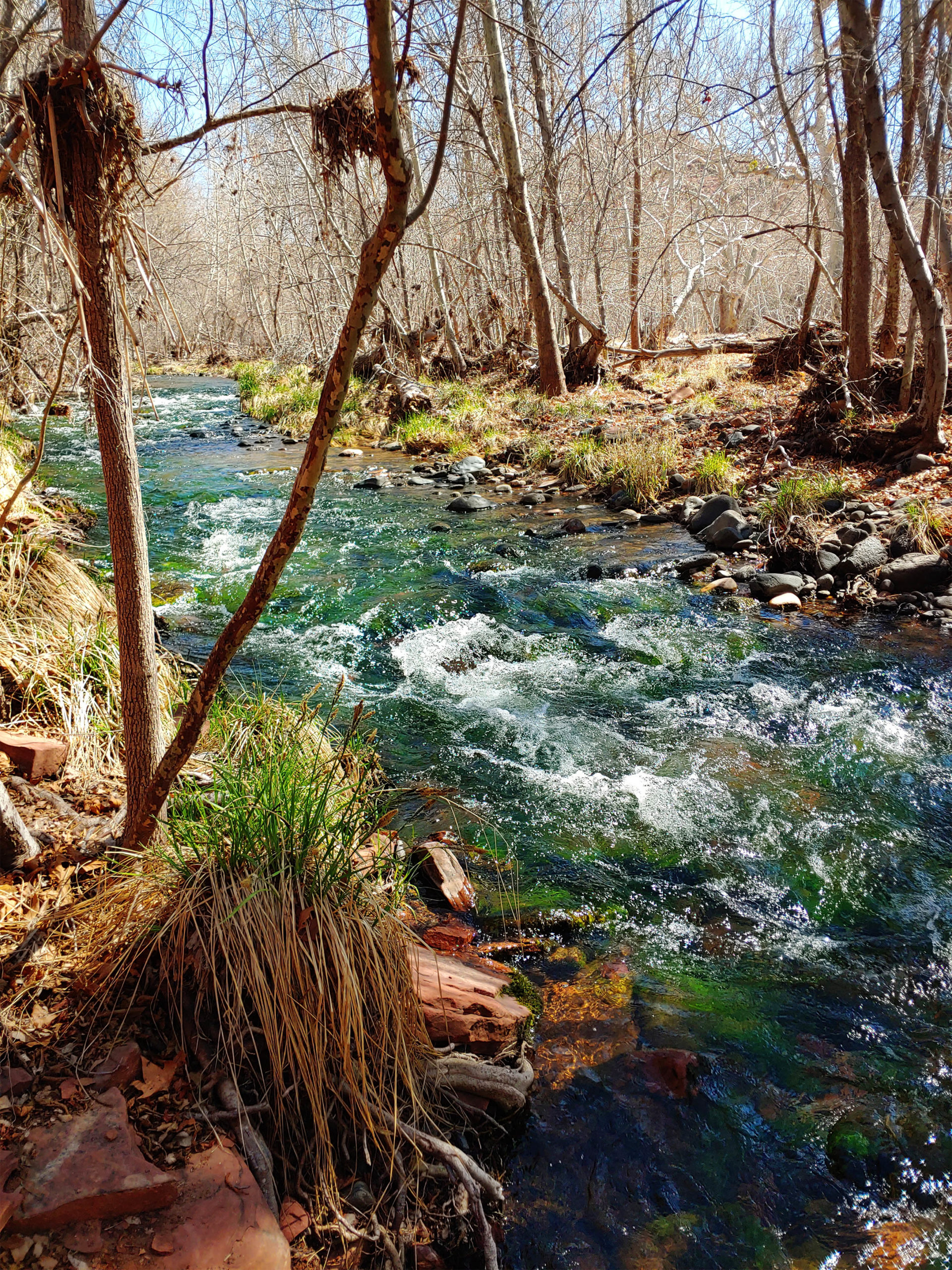 Red Rock Park river