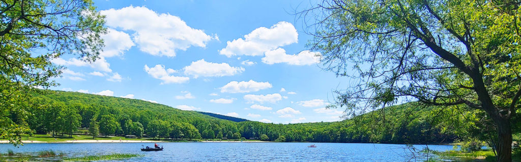 Lake, forest, blue sky, boat