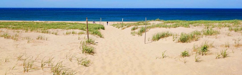 Featured Image Cape Cod